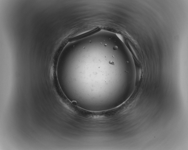 X0000116390637200912021540