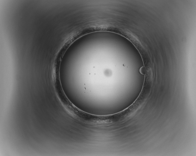 X0000116390638200912021540
