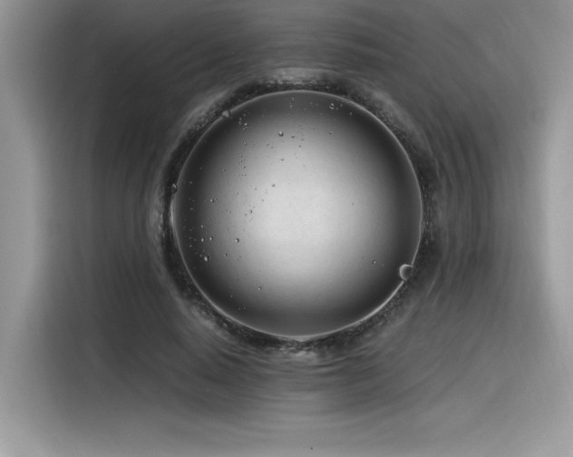 X0000116390640200912021540