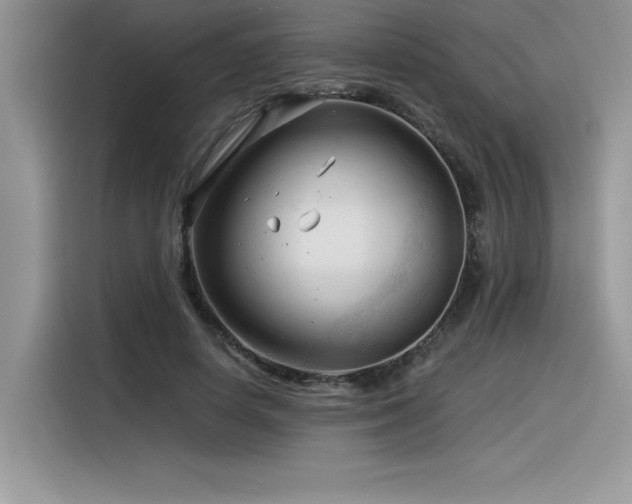 X0000116390642200912021540