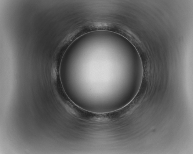 X0000116390644200912021540