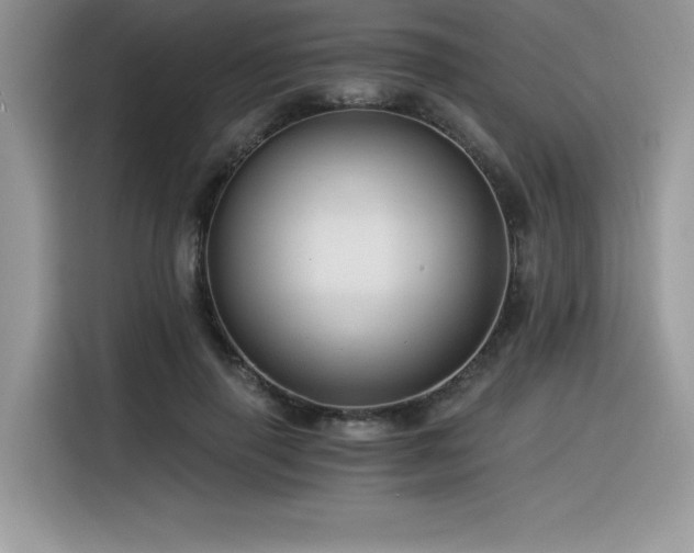 X0000116390645200912021540