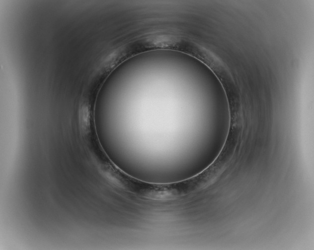X0000116390646200912021540