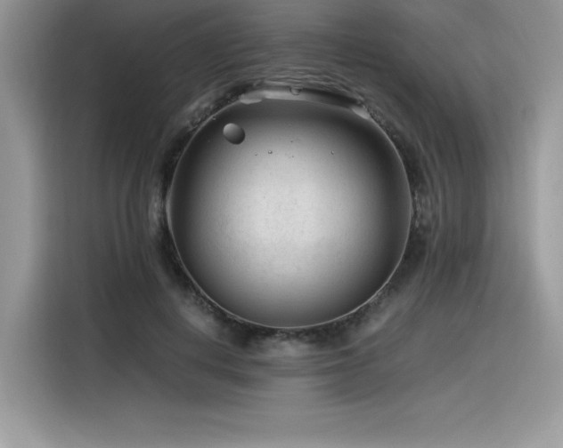 X0000116390648200912021540