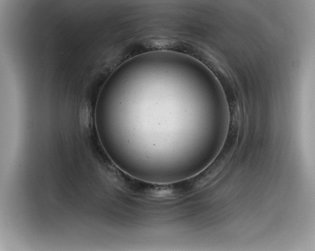 X0000116390651200912021540