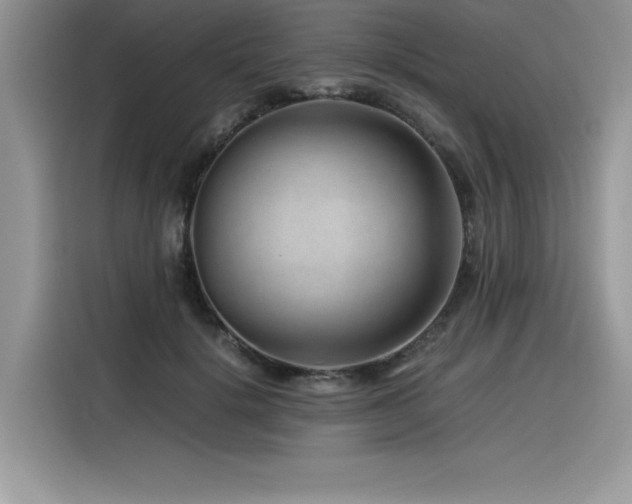 X0000116390652200912021540
