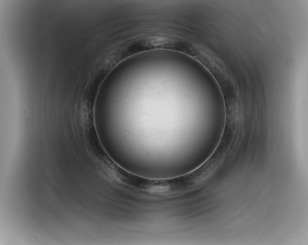 X0000116390653200912021540