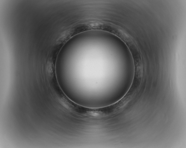 X0000116390654200912021540