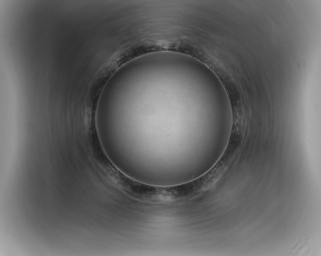 X0000116390656200912021540