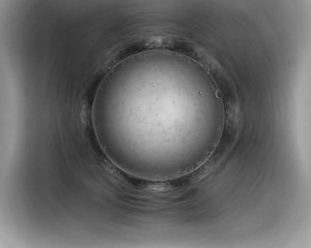 X0000116390659200912021541