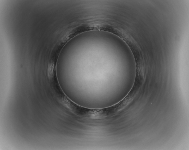 X0000116390660200912021541