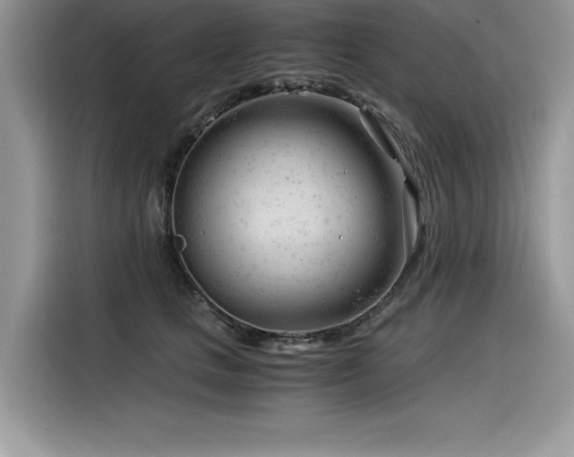 X0000116390661200912021541