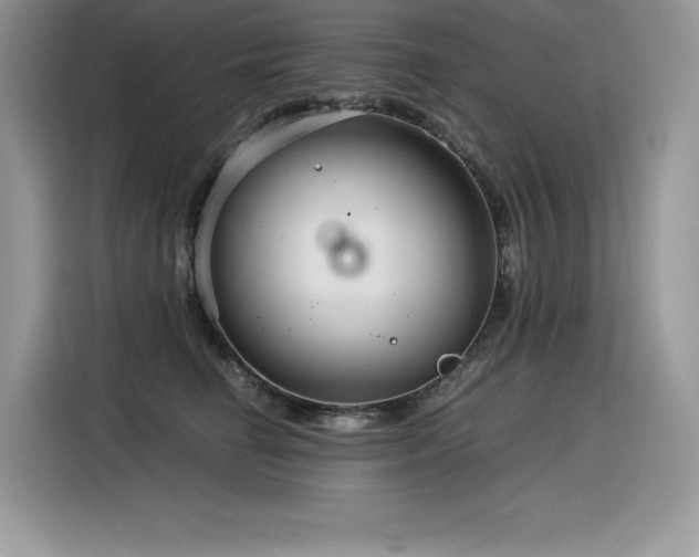 X0000116390662200912021541
