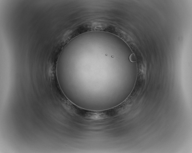 X0000116390663200912021541