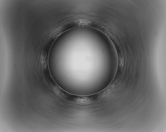 X0000116390666200912021541