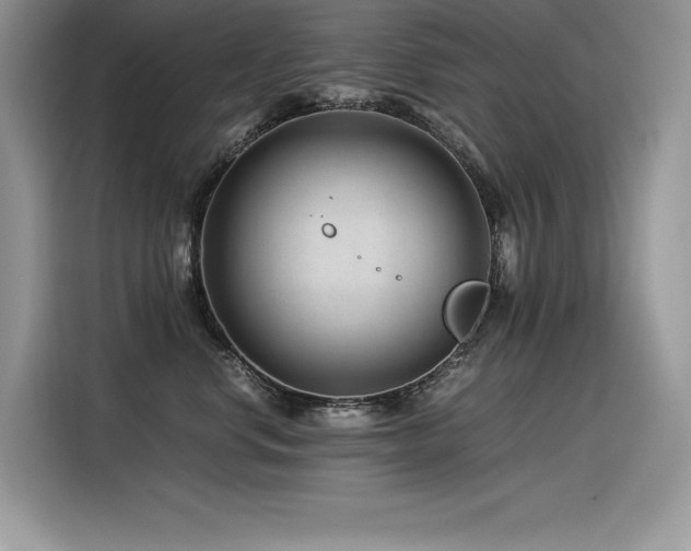X0000116390668200912021541