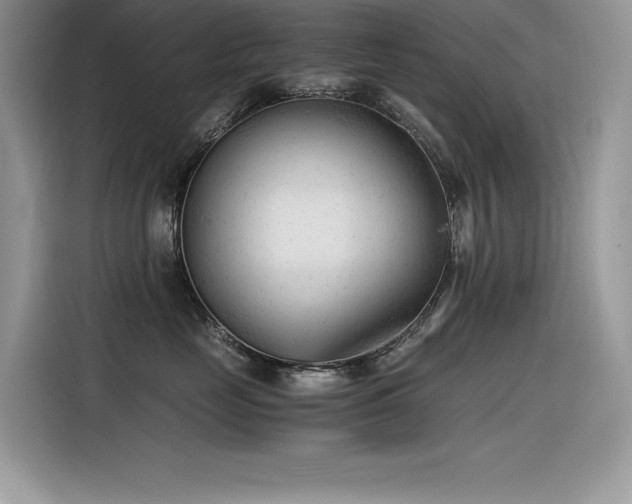X0000116390669200912021541