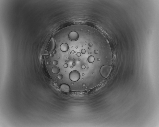X0000116390671200912021541