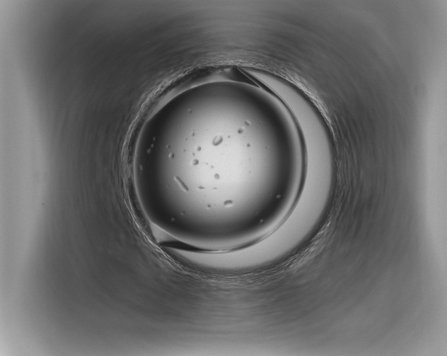 X0000116390673200912021540