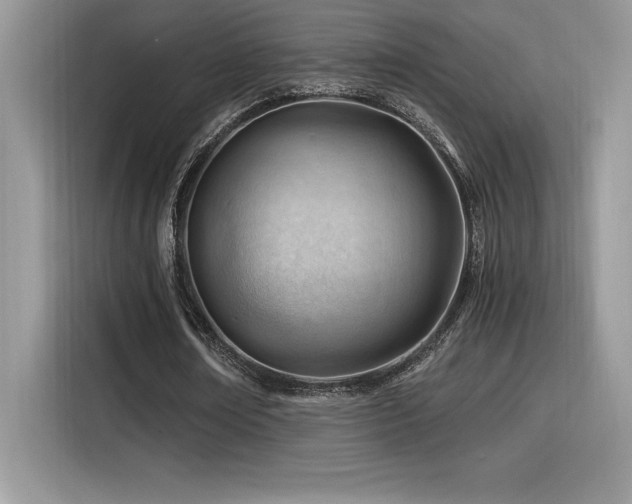 X0000116390674200912021540