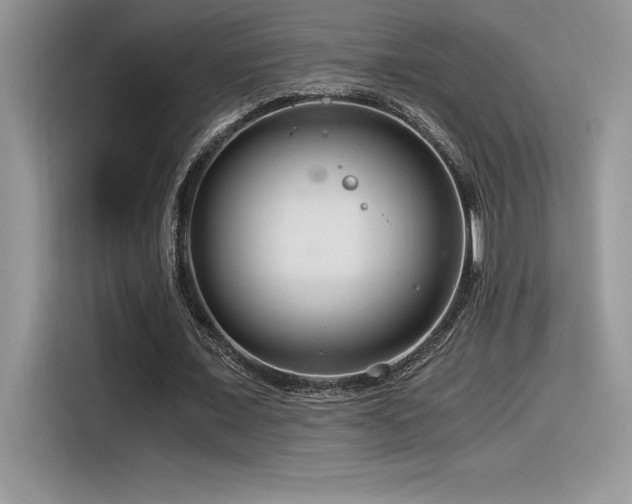 X0000116390675200912021540