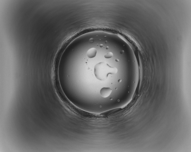 X0000116390677200912021540