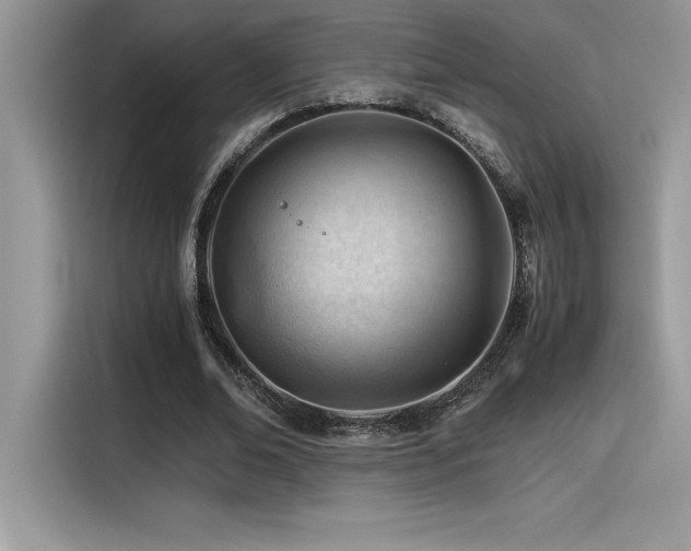X0000116390678200912021540