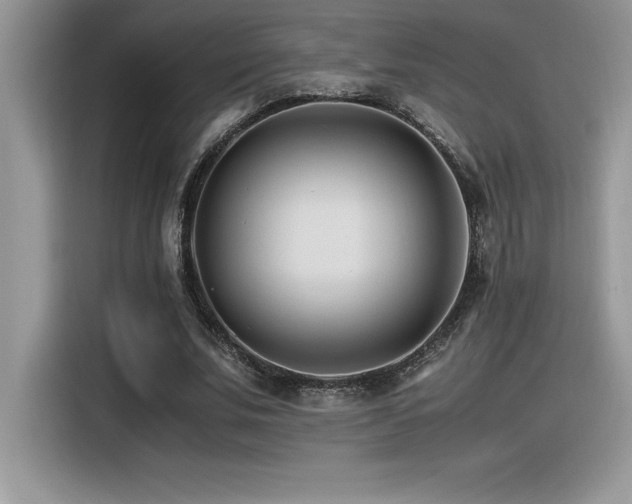 X0000116390679200912021540