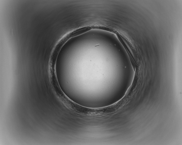 X0000116390680200912021540