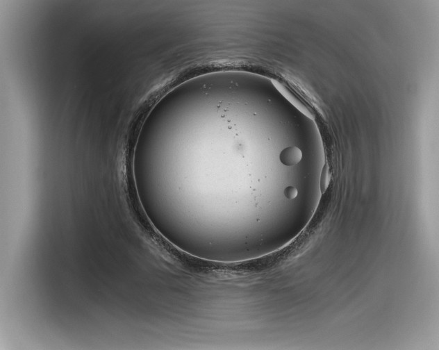 X0000116390681200912021540