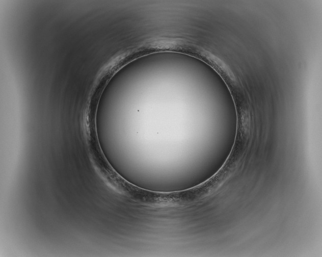 X0000116390682200912021540