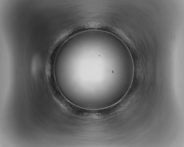 X0000116390683200912021540