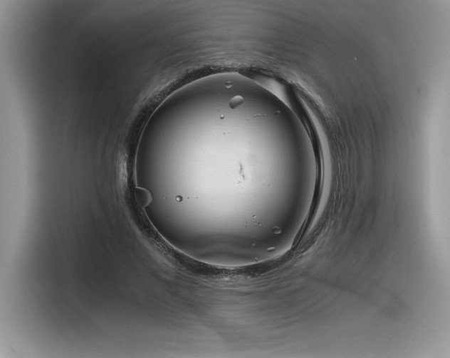X0000116390685200912021540