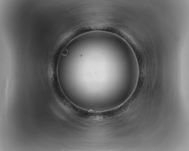 X0000116390687200912021540