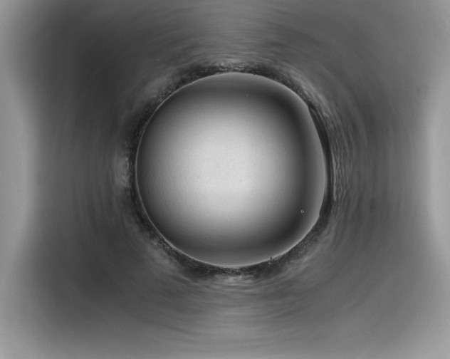 X0000116390689200912021540
