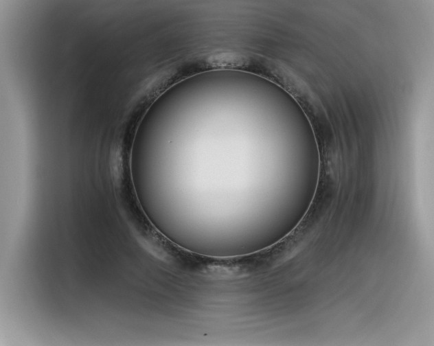 X0000116390690200912021540
