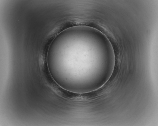 X0000116390691200912021540