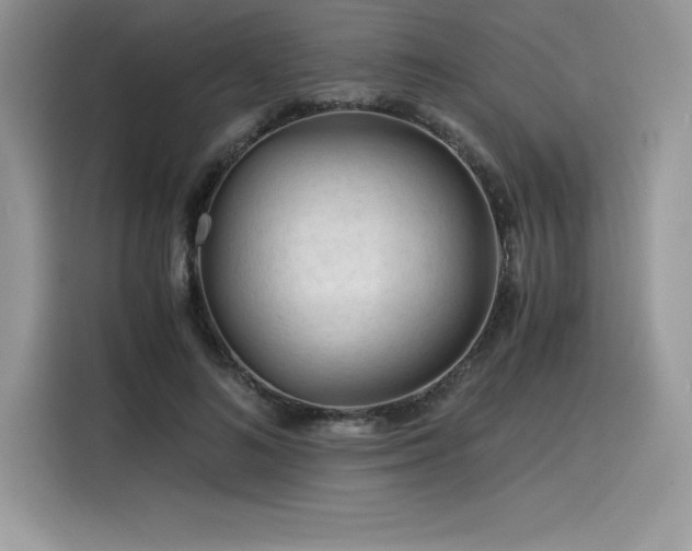 X0000116390692200912021540