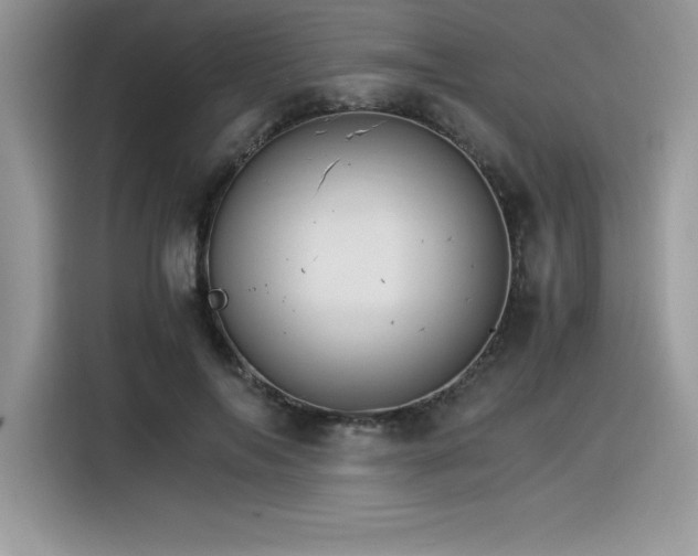 X0000116390694200912021540