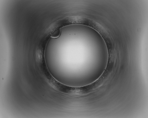 X0000116390695200912021540