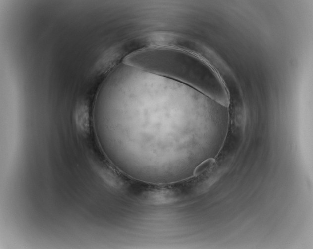 X0000116390696200912021540