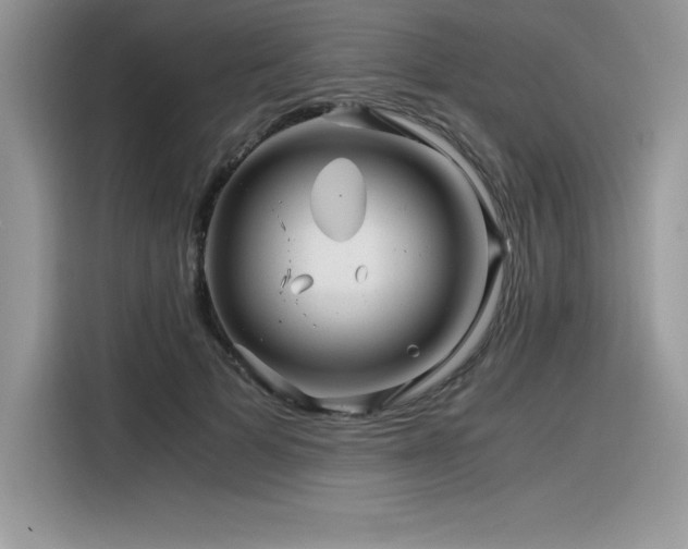 X0000116390697200912021540