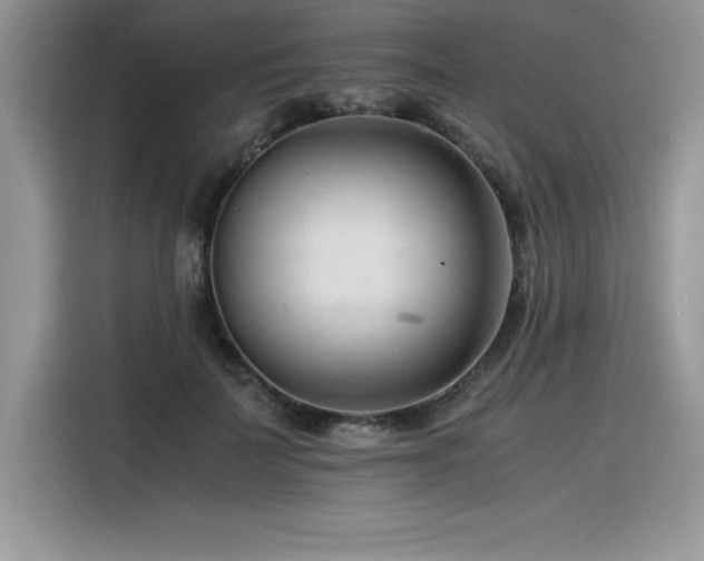 X0000116390699200912021540
