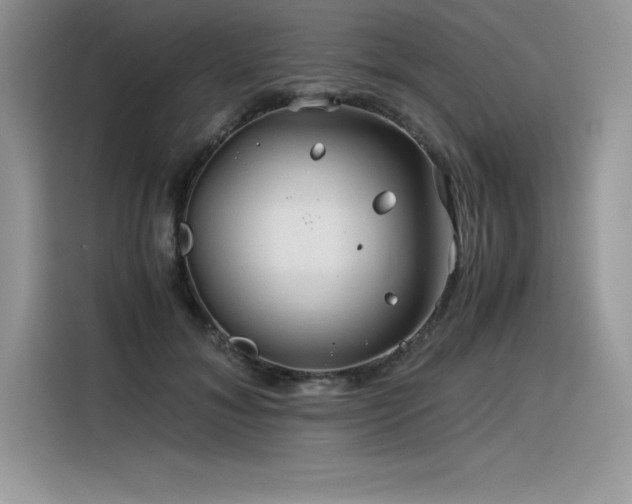 X0000116390700200912021540