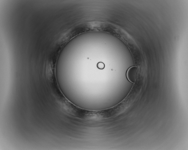 X0000116390702200912021540