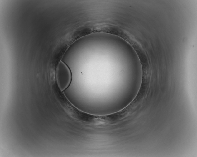 X0000116390703200912021540
