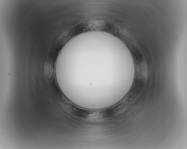 X0000116390705200912021540