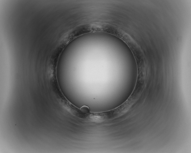 X0000116390706200912021540