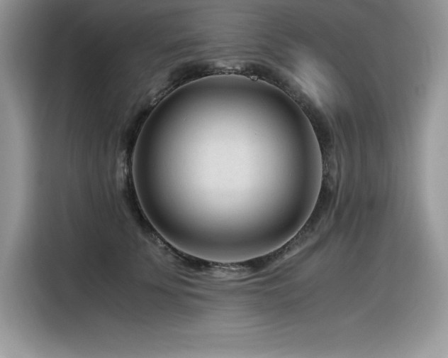 X0000116390707200912021540