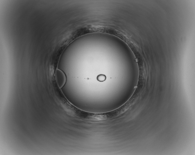X0000116390711200912021540
